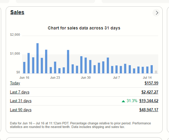 eBay sales report showing 31.3 percent increase