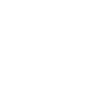 Ecom Solutions Pro